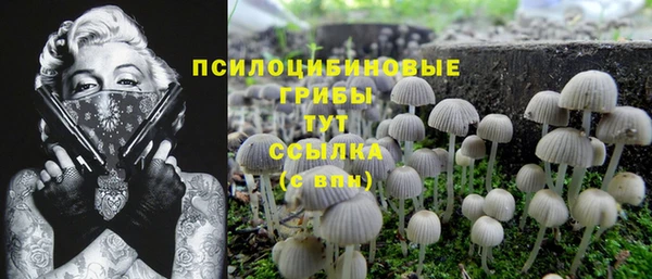 гашишное масло Тавда